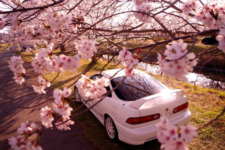 In FH6, it is forbidden to destroy cultural objects of Japan